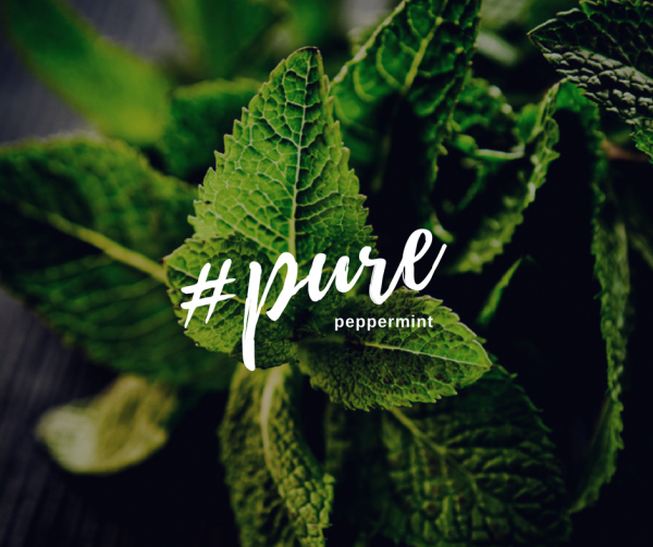 health benefits of peppermint tea