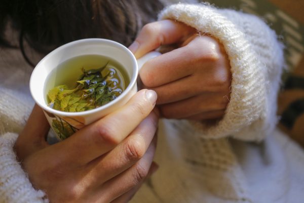 guide_to_herbal_teas